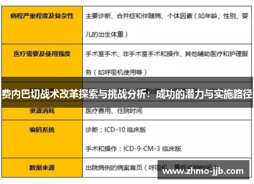 费内巴切战术改革探索与挑战分析：成功的潜力与实施路径