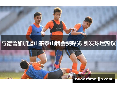 马德鲁加加盟山东泰山转会费曝光 引发球迷热议